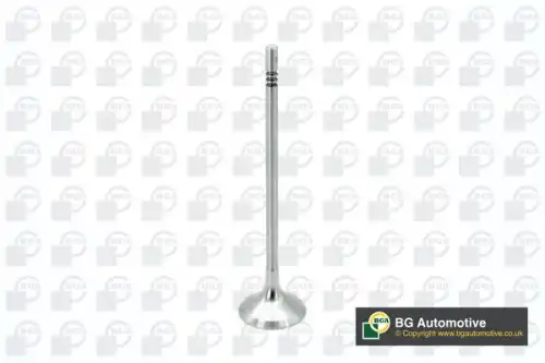 Клапан двигателя впускной 28.1x5x99.15 audi a3 20- / skoda superb 15- / vw trasporter 2.0 15-19 BGA V200610