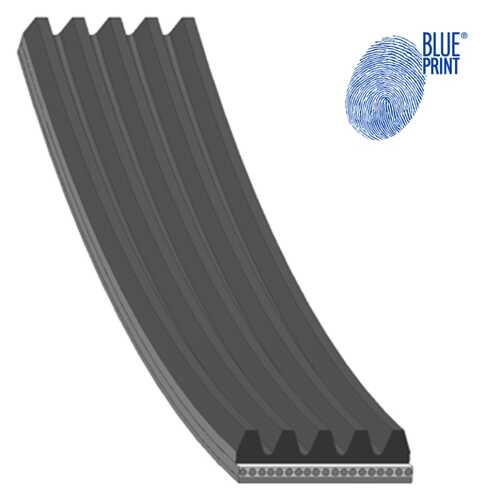 Поликлиновой ремень (ручейковый) BLUE PRINT AD05S716