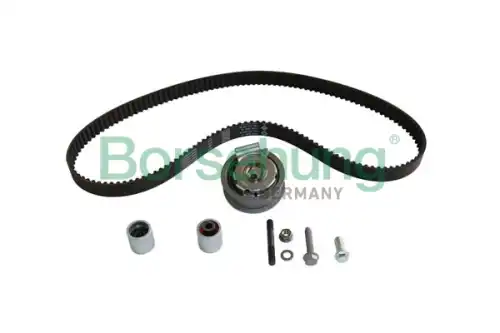 Ремкомплект привода грм BORSEHUNG B10226