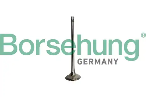 Клапан грм BORSEHUNG B10335