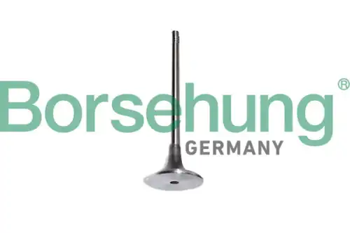 Клапан грм BORSEHUNG B10339