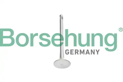 Клапан грм BORSEHUNG B10340