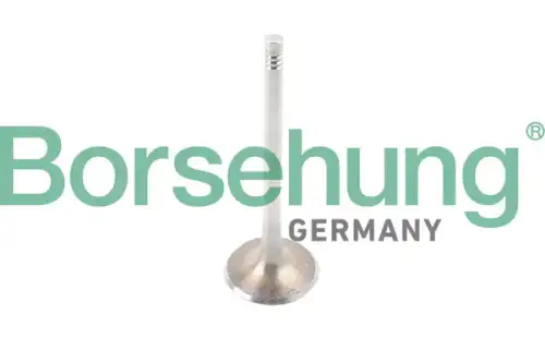 Клапан грм BORSEHUNG B10341