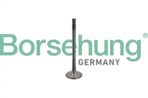 Клапан грм BORSEHUNG B10342