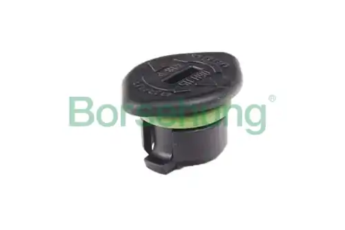 B10666 заглушка клапанной крышки BORSEHUNG B10666