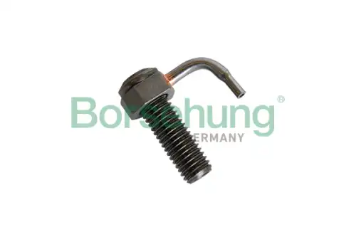 Форсунка масляная BORSEHUNG B11162
