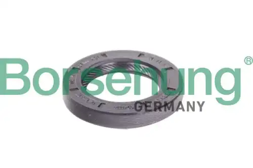 B12191 сальник кпп 24x38x6 BORSEHUNG B12191