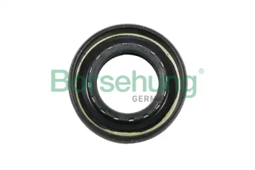 B12194 сальник 21.9x40x8 BORSEHUNG B12194