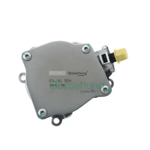 Насос вакуумный BORSEHUNG B18774