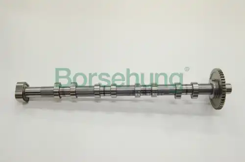Распредвал двигателя BORSEHUNG B18980