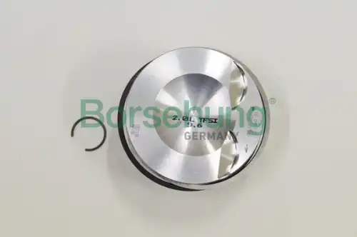 Borsehung BORSEHUNG B18991