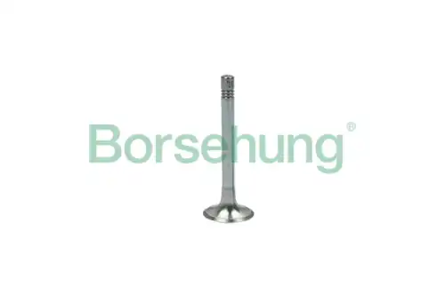 Клапан грм BORSEHUNG B18999