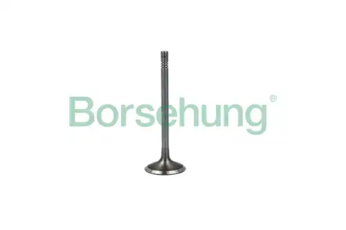 Клапан грм BORSEHUNG B19023