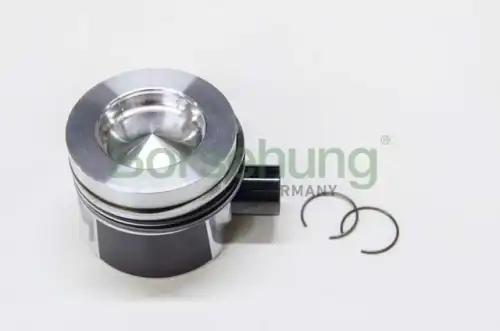 Поршень двигателя BORSEHUNG B19298