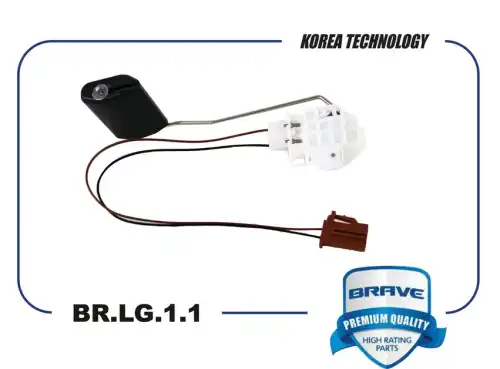 BRLG11 BRAVE Brave