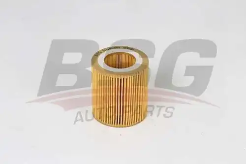 Масляный фильтр bsg