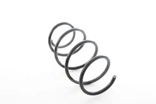 Пружина подвески BSG BSG 15-305-010