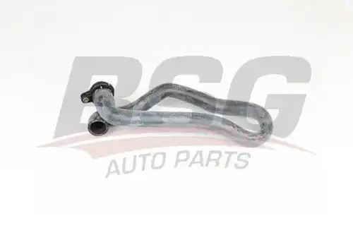 Шланги и патрубки bsg BSG BSG 15-720-066