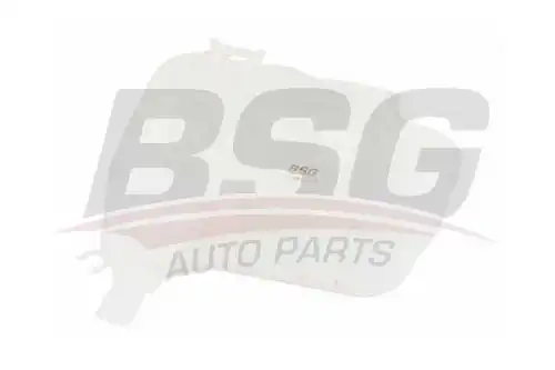 Bsg 16-550-006 бачок расширительный BSG BSG 16-550-006