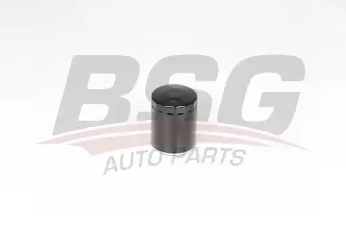 Масляный фильтр bsg BSG BSG 25-140-005