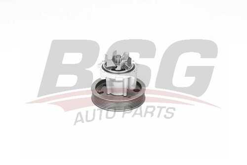 Помпа водяная BSG BSG 25-500-001