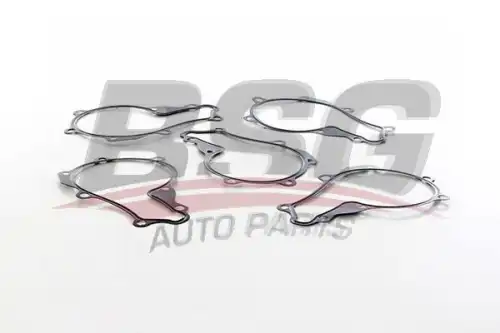 Прокладка помпы BSG BSG 30-116-169