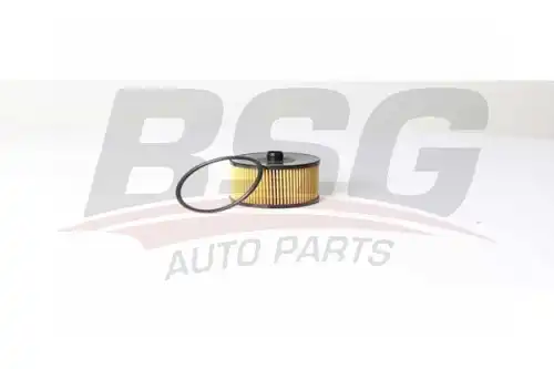 Топливный фильтр bsg BSG BSG 30-130-018