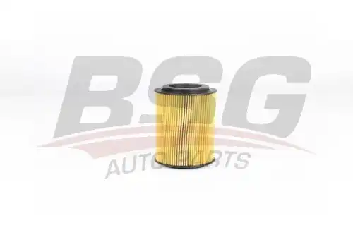 Масляный фильтр bsg BSG BSG 30-140-010