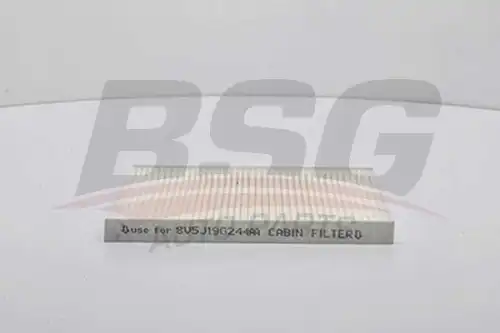 Салонный фильтр BSG BSG 30-145-008