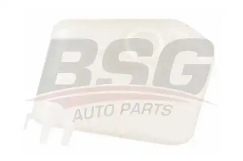 Расширительный бачок BSG BSG 30-550-020