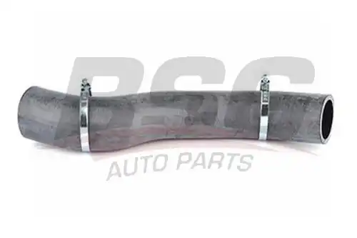 Bsg 30-720-062 патрубок вентиляции картерных газов BSG BSG 30-720-062