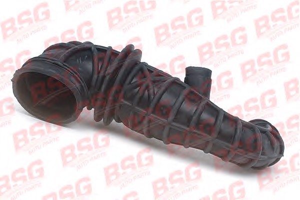 BSG 30-720-097 BSG Шланг воздушный