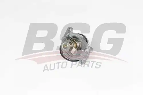 Термостат BSG BSG 65-125-014