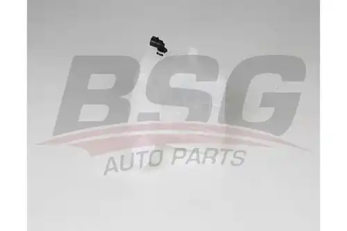 Bsg 65-550-016 бачок расширительный BSG BSG 65-550-016