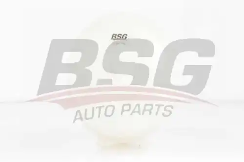 Расширительный бачок BSG BSG 70-550-009