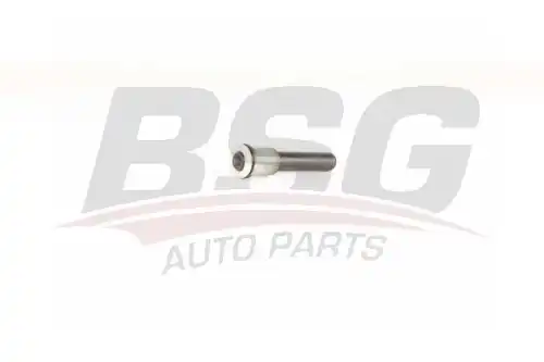 Сайлентблок рычага подвески BSG BSG 70-700-053