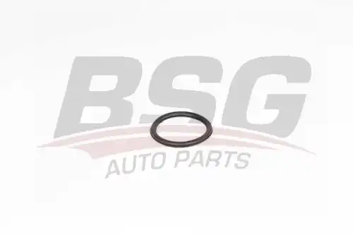 Bsg 75-116-008 прокладка термостата BSG BSG 75-116-008