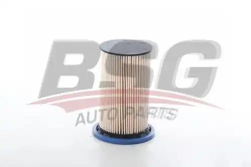 Топливный фильтр bsg