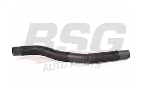 Шланги и патрубки bsg BSG BSG 90-720-035
