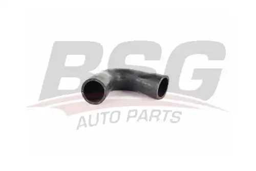 Шланги и патрубки bsg BSG BSG 90-720-130