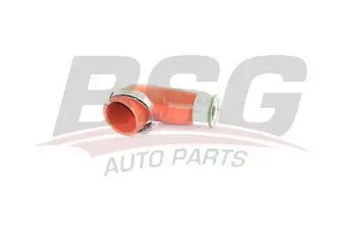 Шланги и патрубки bsg BSG BSG 90-720-134