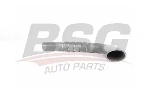 Шланги и патрубки bsg BSG BSG 90-720-185