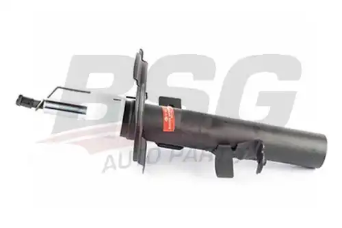 Basbug BSG BSG30-300-063