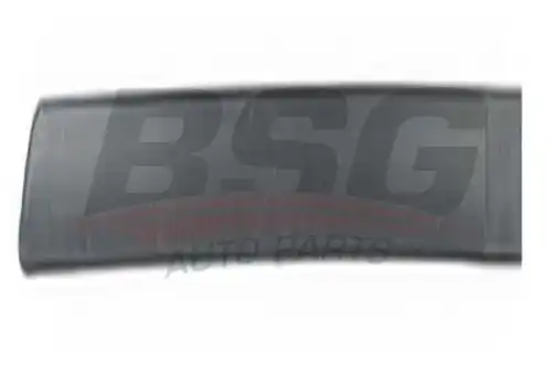 Молдинг задней левой двери (bsg 65-925-012) BSG BSG65-925-012