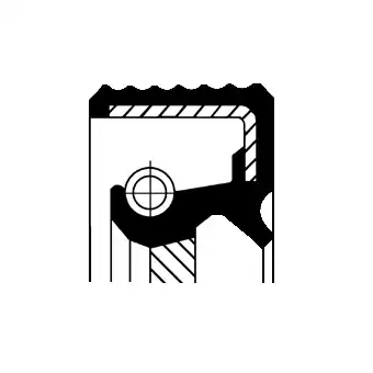 Сальник акпп CORTECO 010 338 64B