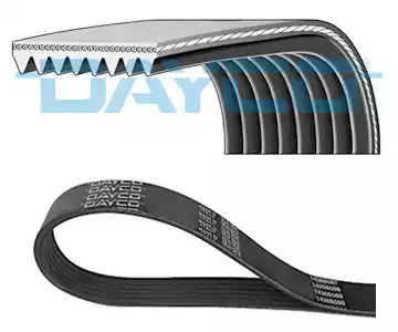 Поликлиновой ремень DAYCO 8PK1005HD
