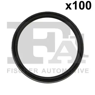 Уплотнительное кольцо FA1 076.601.100