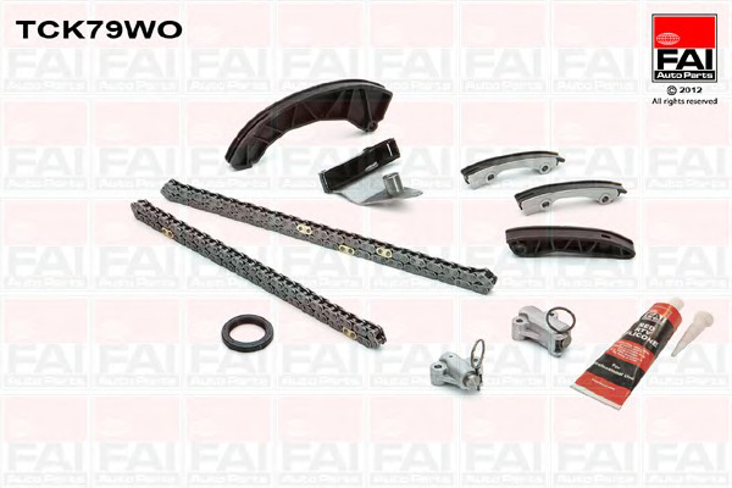 Фото 1 TCK79WO FAI AUTOPARTS Комплект цепи ГРМ