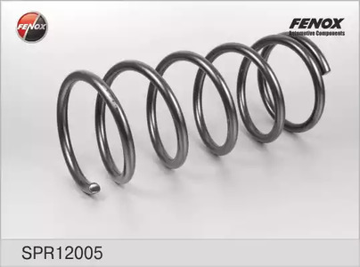 Пружина ходовой части FENOX SPR12005