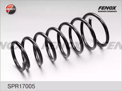 Пружина ходовой части FENOX SPR17005